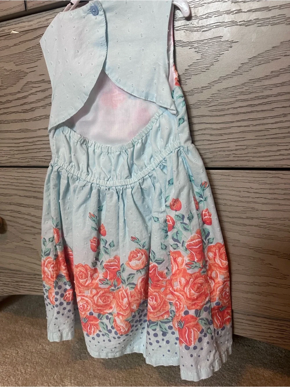 Penelope Mack Light Blue Dress with Coral Rose Print